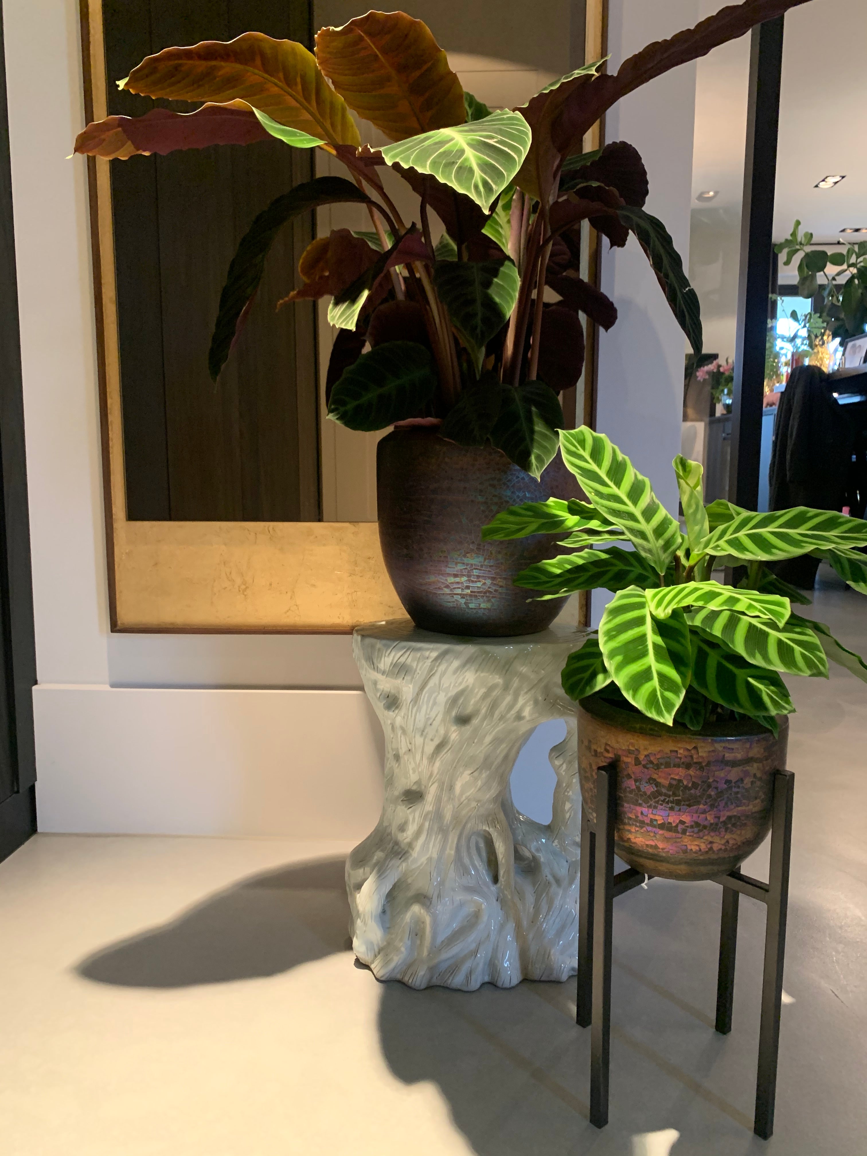 Fotostyling projecten